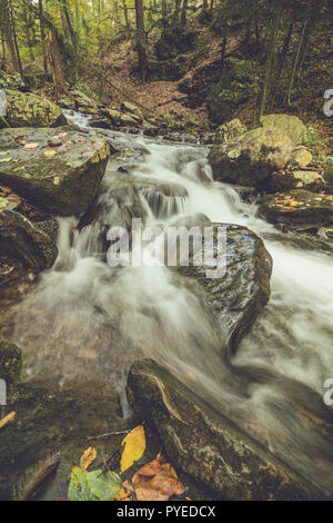 Bushkill Falls in Poconos, PA, umgeben von üppigen Herbst Laub Stockfoto