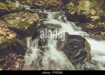 Bushkill Falls in Poconos, PA, umgeben von üppigen Herbst Laub Stockfoto