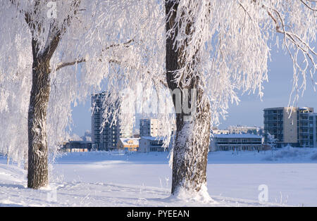 Winterlandschaft mit Schnee bedeckt Bäume und Gebäude entlang der Flussufer. Leichte Brise fällt Schnee von den Ästen. Stockfoto