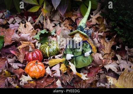 Vor dem Urlaub, Halloween, kleine Hexe ihre Kürbisse reinigt von Ahorn Blätter, Collage. Stockfoto