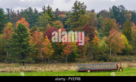 Leeren Wagen bereit Heuballen vor hellen Farben des Herbstes der Herbst Laub zu laden Stockfoto