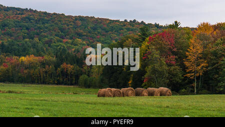 Heuballen aufgereiht vor hellen Farben des Herbstes der Herbst Laub Stockfoto