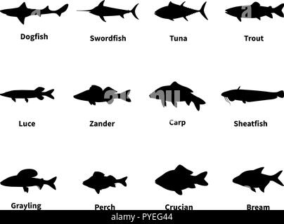 Silhouette von Fischen mit einer Inschrift Stock Vektor