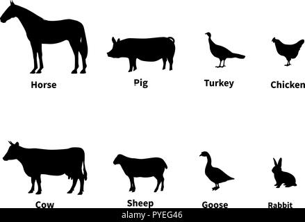 Silhouetten der Viehbestand Stock Vektor