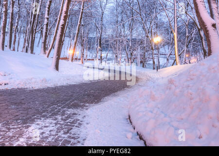 Fußgänger-Allee im Park der Stadt Gomel im Winter unter den Schnee und Bäume am Abend Stockfoto