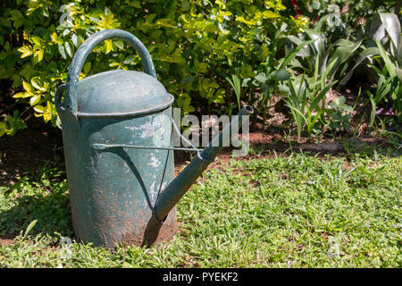 Eine Nahaufnahme Seite Blick auf eine Alte verrostete grün Metall kann Wasser im Garten Stockfoto