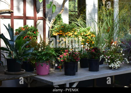 Schönen Garten shop Stockfoto