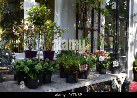 Garten shop Stockfoto