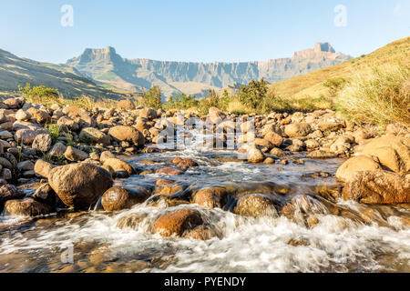 Suchen bis zu den "Amphitheater" in der nördlichen Drakensberge aus dem Tugela River, Royal Natal National Park, KwaZulu-Natal, Südafrika. Stockfoto