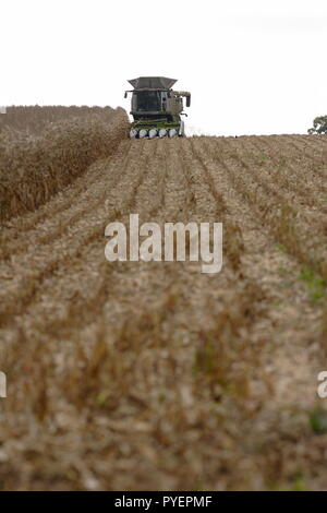 Mähdrescher, kleines an der Spitze eines Teils der Ernte Feld von trockenem Mais mit einer Fläche von cut und uncut Mais in der Nähe von Hindon Wiltshire UK Stockfoto