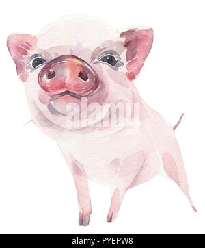 Süße Schweinchen Handgemalten Aquarell Bild auf weißem Hintergrund. Symbol für das Neue Jahr 2019. Stockfoto