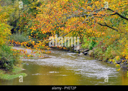 Eine horizontale Landschaft von Trout Creek in Sussex New Brunswick mit dem Baum Blätter die hellen Farben des Herbstes. Stockfoto