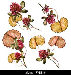 Blumiges bouquet mit Klee und Blätter Aquarell. Romantische Hintergrund für Webseiten, Hochzeit Einladungen, Save the date Karten. Aquarell Abbildung Stockfoto
