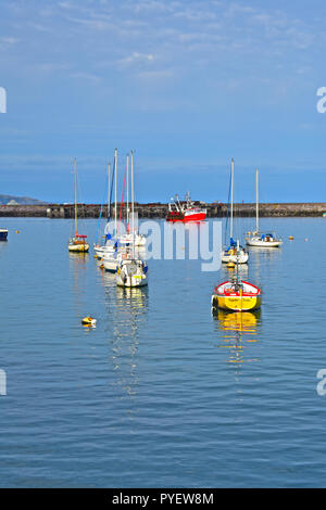 Eine helle rote Trawler kehrt nach Hause zurück zum Hafen von Brixham Vergangenheit der Leuchtturm und Mole mit einer Sammlung von günstig Yachten im Vordergrund. Stockfoto