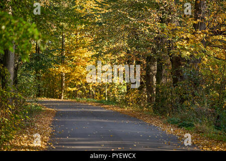 Herbstfarben Herbst sonnige bunte Stimmung Stockfoto