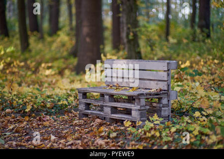 Herbstfarben Herbst sonnige bunte Stimmung Stockfoto