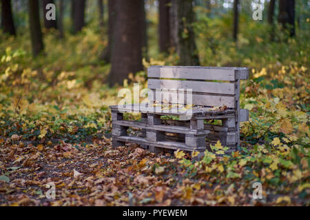 Herbstfarben Herbst sonnige bunte Stimmung Stockfoto