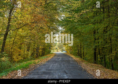 Herbstfarben Herbst sonnige bunte Stimmung Stockfoto