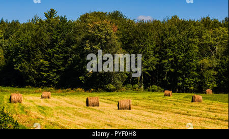 Rundballen Heu auf den Feldern links nach dem Mähen im Spätsommer in Vermont. Stockfoto