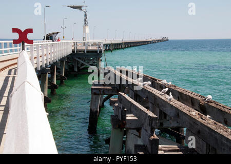 Busselton, längsten Holzsteg in der südlichen Hemisphäre mit Möwe rookery über verlassene Struktur Stockfoto