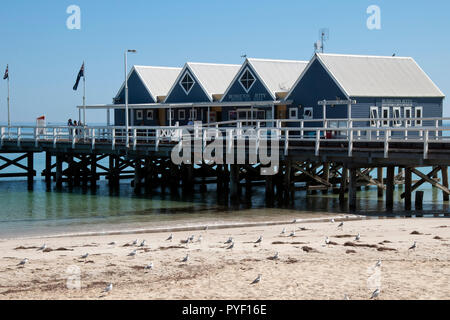 Busselton Nov 10 2017, die Jetty ist der Schwerpunkt der touristischen Aktivität Stockfoto