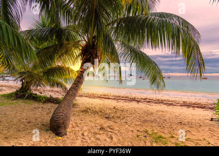 Paradise Island bei Sonnenuntergang. Stockfoto