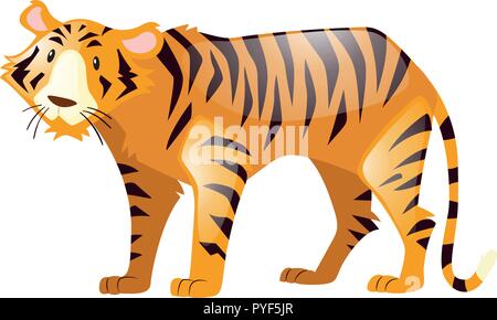 Wild Tiger auf weißem Hintergrund Abbildung Stock Vektor