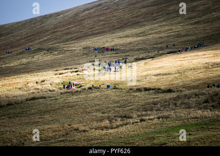 Wanderer ascend Pen y Fan in die Brecon Beacons, Wales. Stockfoto