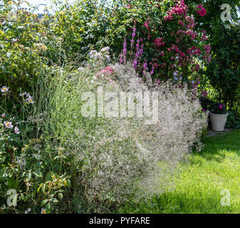 Farbe outdoor Natur Bild eines idyllischen Garten mit einer Sitzbank, Blumen, Rosen, Anemonen und Rasen, an einem sonnigen Sommertag Stockfoto