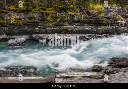 Numa-fällt, Vermillion River, Kootenay NP, British Columbia, Kanada, von Bruce Montagne/Dembinsky Foto Assoc Stockfoto