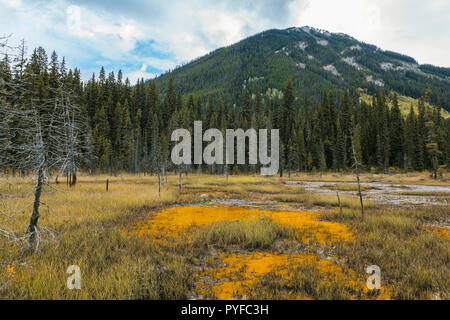 Farbtöpfe, Kootenay NP, British Columbia, Kanada, von Bruce Montagne/Dembinsky Foto Assoc Stockfoto