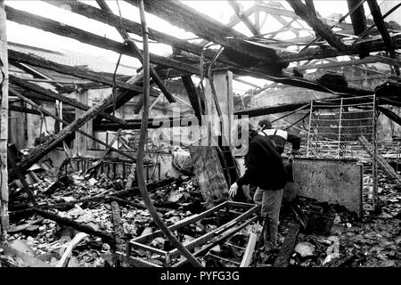 Archive 90 n: Gebrannt, Büros, Lyon, Frankreich Stockfoto