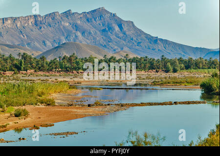 Marokko PALMEN UND FLUSS IM DRATAL Stockfoto