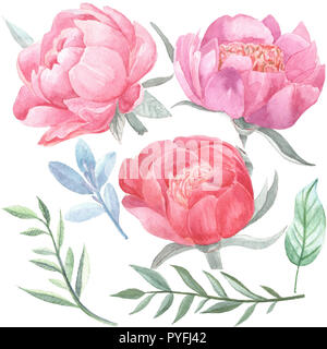 Hand gezeichnet Aquarell blumen Botanik für Ihr Design. Stockfoto