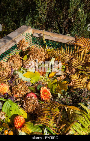 Bild der Komposttonne im Herbst Garten Stockfoto