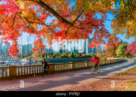 Herbst Farbe, Stanley Park Seawall, Vancouver, British Columbia, Kanada. Stockfoto