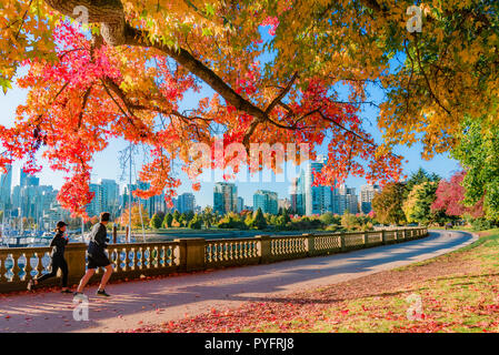 Herbst Farbe, Stanley Park Seawall, Vancouver, British Columbia, Kanada. Stockfoto