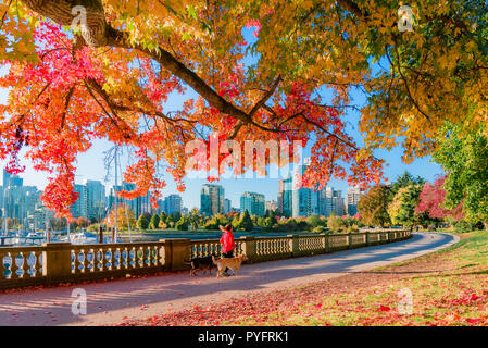 Herbst Farbe, Stanley Park Seawall, Vancouver, British Columbia, Kanada. Stockfoto