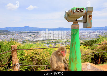 Kyoto Skyline und spektakulären Luftaufnahmen Panorama der Stadt. Macaca Fuscata Affe oder japanischen Makaken in der Nähe von Beobachtung Ferngläser in Iwatayama Monkey Park Arashiyama, Japan. Beliebte touristische Attraktion Stockfoto