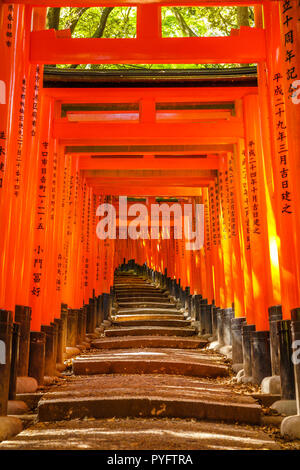 Kyoto, Japan - 28. April 2017: Torii Tore von fushimi Inari taisha, ein Shinto Schrein für den Geist der Inari, in Fushimi-ku entfernt, südlich von Kyoto, Japan. Vertikale erschossen. Stockfoto