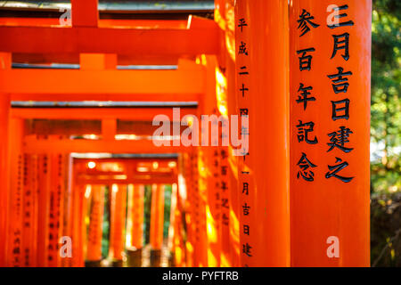 Kyoto, Japan - 28. April 2017: Tausende vermilion torii Tore von fushimi Inari taisha, südlich von Kyoto, Japan. Fushimi Inari ist die wichtigste Shintō-Heiligtum und die älteste in Kyoto. Stockfoto
