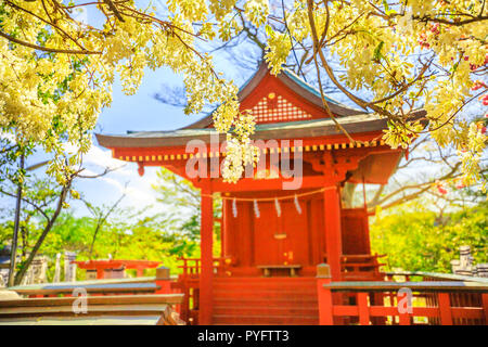 Niederlassungen der Kirschblüte während Hanami im Vordergrund in Kamakura, Japan. Rot Architektur von Hata - alter Benzaiten Schrein auf unscharfen Hintergrund innen Tsurugaoka Hachimangu komplex. Frühling Saison. Stockfoto