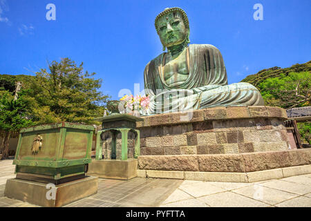 Big Buddha Daibutsu, die größte Bronzestatue von Buddha Vairocana. Kotoku-in buddhistischen Tempel in Kamakura aus dem alten Japan, im Jahre 1252 gegossen. Stockfoto