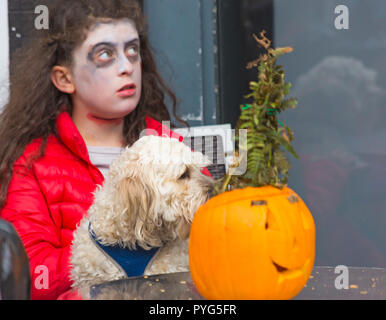 Poole, Dorset, Großbritannien. 27. Oktober 2018. Poole's Erste zombie Festival, ein Spuk - tacular Veranstaltung und Parade mit Preis für den schlechtesten Kleid Zombie. Drehen Sie die Massen auf einem wirklich kalt, aber Trocken, Tag teil zu nehmen oder die gruselige Veranstaltung ansehen. Credit: Carolyn Jenkins/Alamy leben Nachrichten Stockfoto