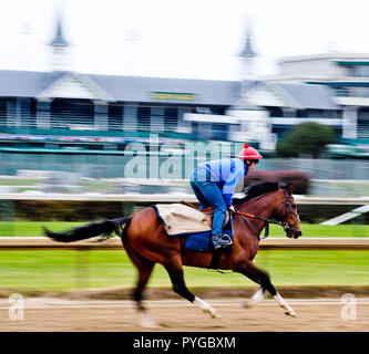 Louisville, Kentucky, USA. 25 Okt, 2018. Toast von New York, ausgebildet von Jamie Osborne, Übungen in der Vorbereitung für den Breeders' Cup Classic in der Churchill Downs. Credit: Csm/Alamy leben Nachrichten Stockfoto