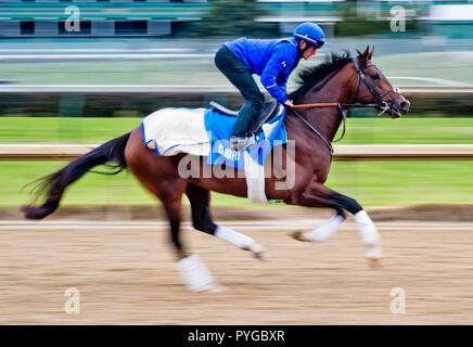 Louisville, Kentucky, USA. 25 Okt, 2018. Thunder Schnee (IRE), ausgebildet von Saeed Bin Suroor, Übungen in der Vorbereitung für den Breeders' Cup Classic in der Churchill Downs. Credit: Csm/Alamy leben Nachrichten Stockfoto