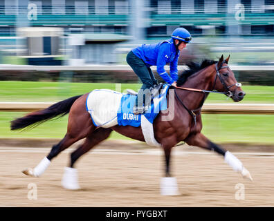 Louisville, Kentucky, USA. 25 Okt, 2018. Thunder Schnee (IRE), ausgebildet von Saeed Bin Suroor, Übungen in der Vorbereitung für den Breeders' Cup Classic in der Churchill Downs. Credit: Csm/Alamy leben Nachrichten Stockfoto