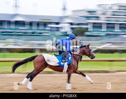 Louisville, Kentucky, USA. 25 Okt, 2018. Thunder Schnee (IRE), ausgebildet von Saeed Bin Suroor, Übungen in der Vorbereitung für den Breeders' Cup Classic in der Churchill Downs. Credit: Csm/Alamy leben Nachrichten Stockfoto