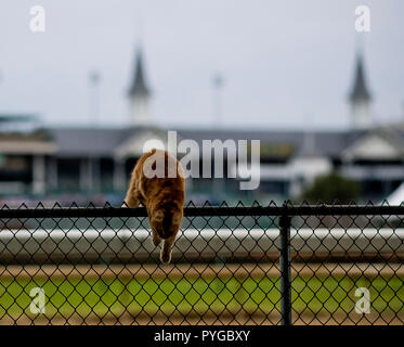 Louisville, Kentucky, USA. 25 Okt, 2018. Eine lokale spielt auf einem Zaun in den Schatten der 2 Türme auf der Breeders' Cup Woche an Churchill Downs. Credit: Csm/Alamy leben Nachrichten Stockfoto