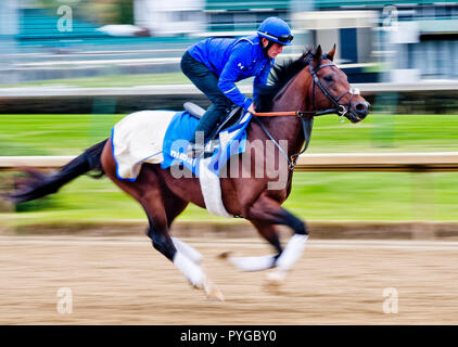 Louisville, Kentucky, USA. 25 Okt, 2018. Thunder Schnee (IRE), ausgebildet von Saeed Bin Suroor, Übungen in der Vorbereitung für den Breeders' Cup Classic in der Churchill Downs. Credit: Csm/Alamy leben Nachrichten Stockfoto